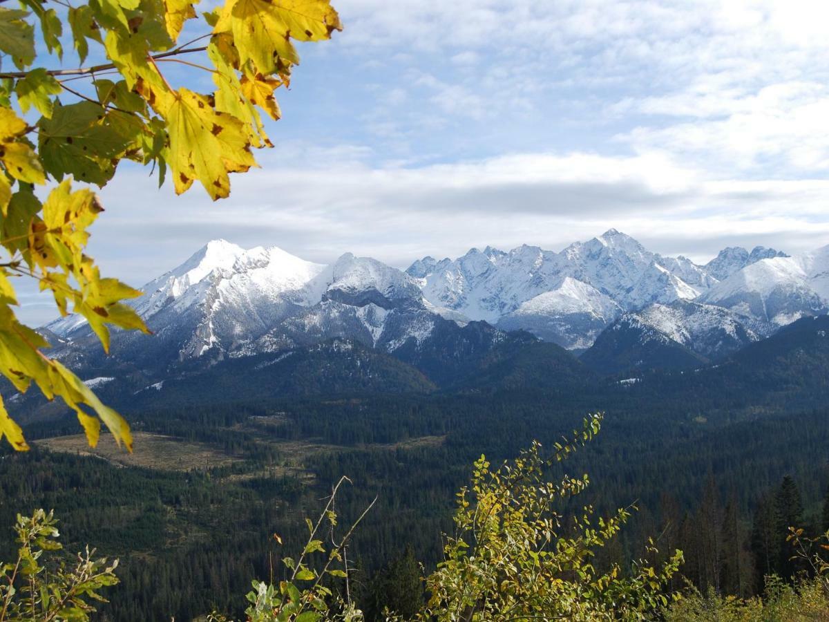 Pokoje Goscinne Budzowie Czarna Gora Bagian luar foto